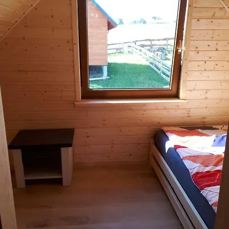 Caloroczny Dom Letniskowy 別荘 *